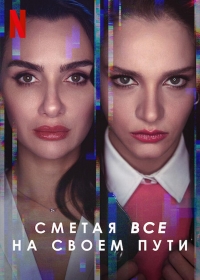 Постер «Полет птицы»